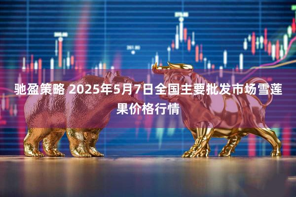 驰盈策略 2025年5月7日全国主要批发市场雪莲果价格行情