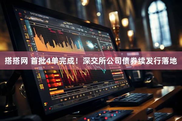 搭搭网 首批4单完成！深交所公司债券续发行落地