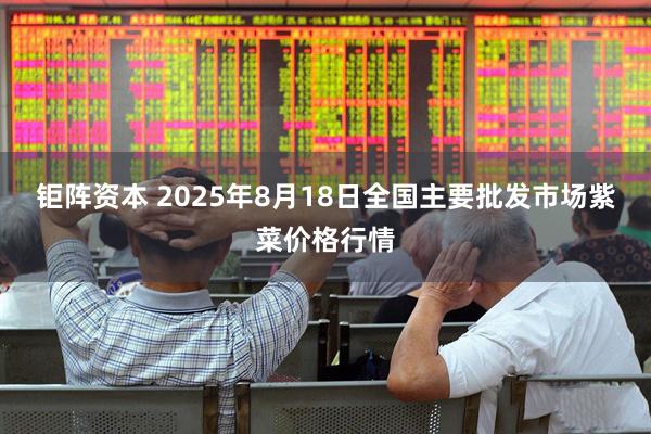钜阵资本 2025年8月18日全国主要批发市场紫菜价格行情